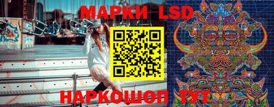 спиды Кингисепп