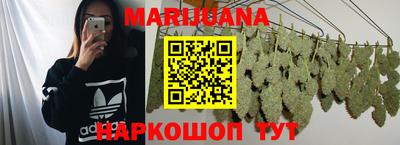 спиды Кингисепп