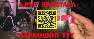 спиды Кингисепп