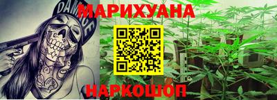 спиды Кингисепп