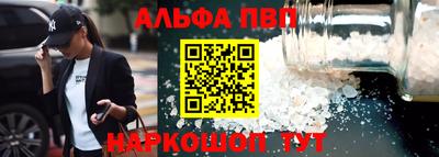 спиды Кингисепп