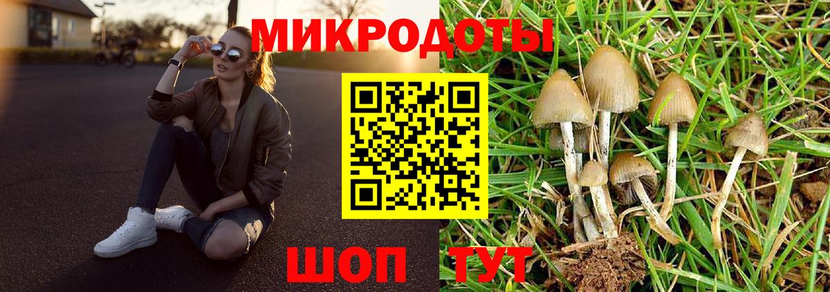 Галлюциногенные грибы Cubensis Ялуторовск