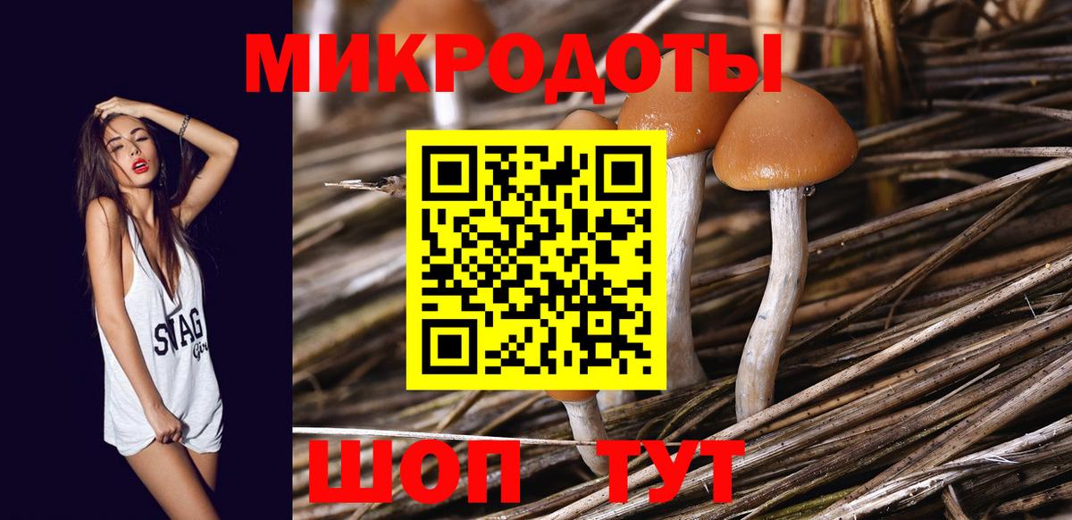 Псилоцибиновые грибы Psilocybe  Вход с VPN  Псилоцибиновые грибы прущие грибы  Ялуторовск 